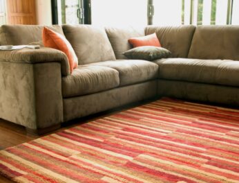 A clean striped area rug in a bright living room after Eco Valley Chem-Dry’s professional carpet cleaning service, showing a fresh and odor-free finish ideal for homes dealing with pet urine removal and deep carpet restoration.