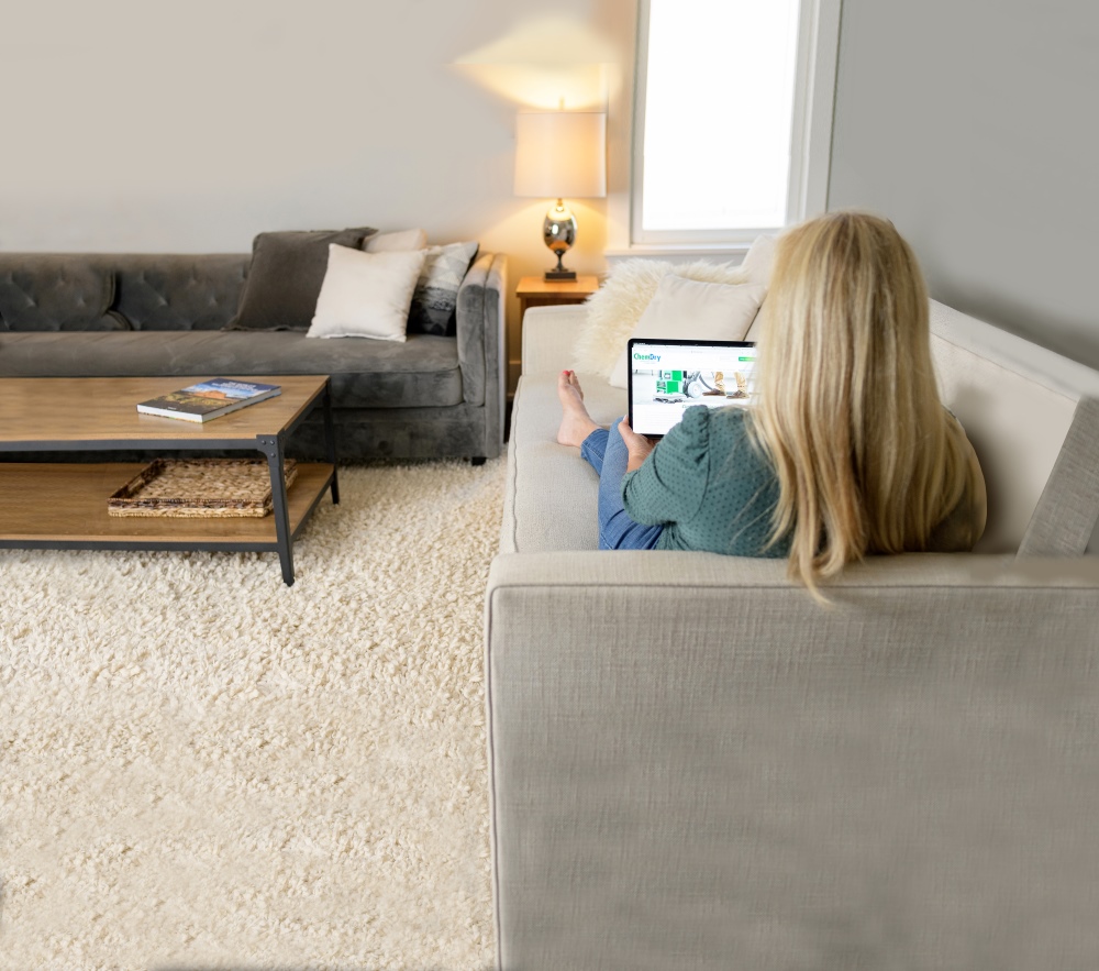 A woman relaxing in a clean living room with a freshly restored carpet after Eco Valley Chem-Dry’s carpet cleaning service, enjoying a healthier space free from deep odors and pet urine issues.