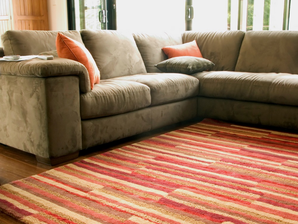 A clean striped area rug in a bright living room after Eco Valley Chem-Dry’s professional carpet cleaning service, showing a fresh and odor-free finish ideal for homes dealing with pet urine removal and deep carpet restoration.