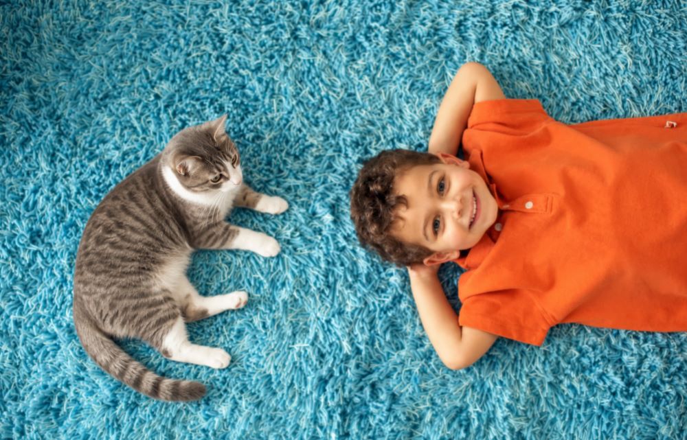 Child and cat relaxing together on a colourful carpet, representing a pet-friendly home environment and the importance of effective cat urine odor removal for clean carpets