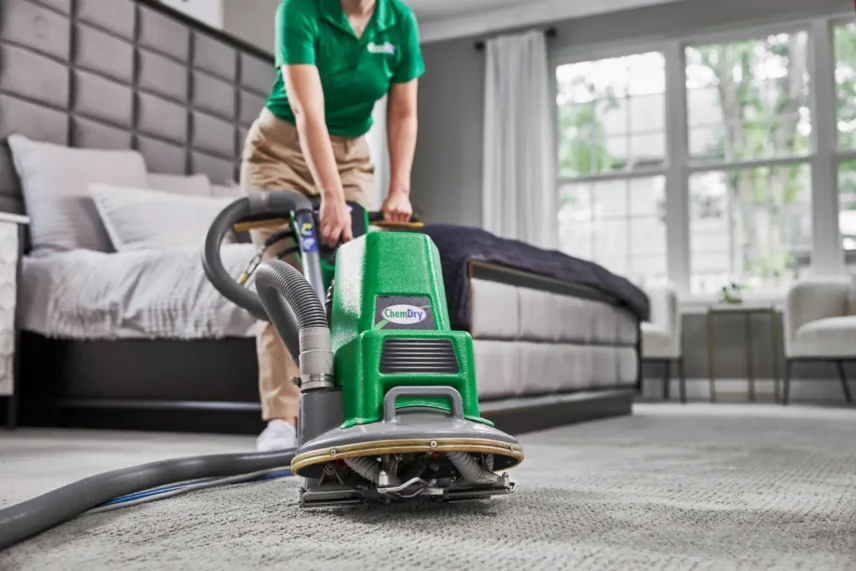 Professional carpet cleaning machine removing pet stains and odours from residential carpet
