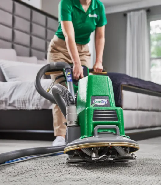 Professional carpet cleaning machine removing pet stains and odours from residential carpet {{brizy_dc_image_alt imageSrc=