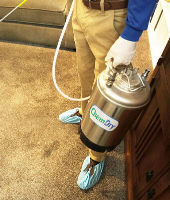 Eco Valley Chem-Dry technician providing carpet sanitizing services in Calgary