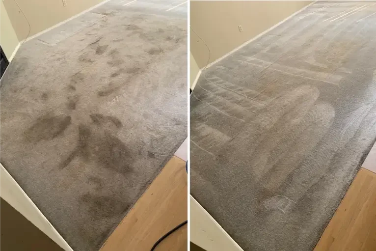 Carpet steam cleaning before and after in a Calgary home showing heavy traffic marks removed and carpet fibres restored after deep steam cleaning