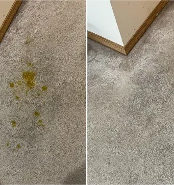 Before-and-After-Eco-Valley-Chem-Dry-Stain-Removal-2048x1349-1 Before and after results showing how carpet cleaning can remove mold stains.