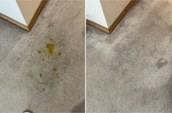 Carpet cleaning before and after in a Calgary home showing stain removal and refreshed carpet fibres after professional treatment