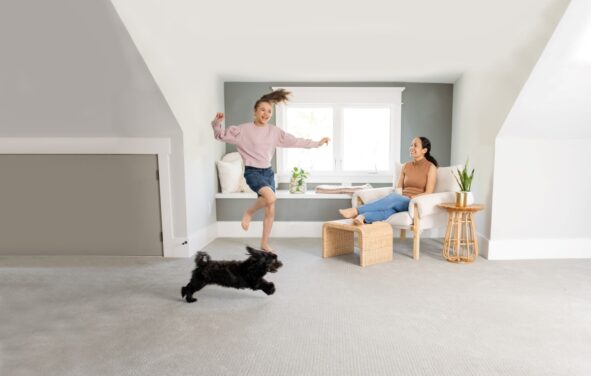 Child playing with a dog on a fresh carpet after carpet cleaning removed urine smell.