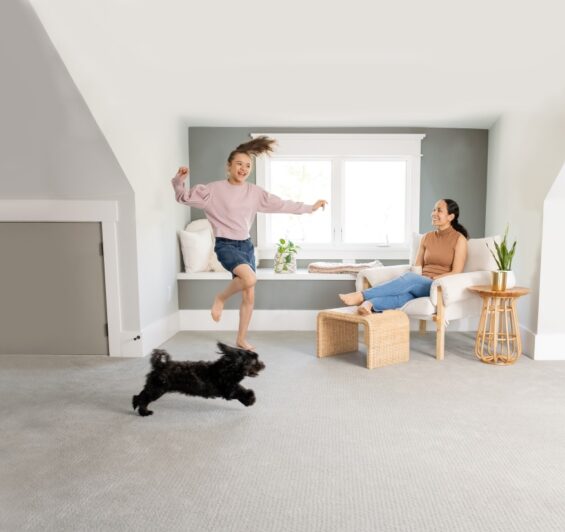 LC 3 Child playing with a dog on a clean carpet after professional carpet cleaning helped kill fleas.