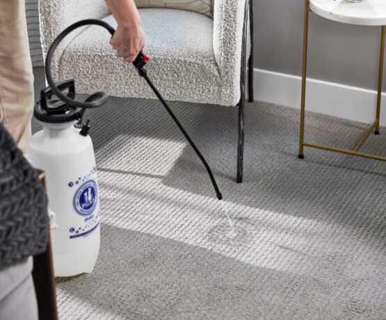 Cleaning services Cochrane technician treating carpet stains near a chair using professional carpet cleaning equipment