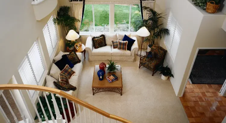 Clean living room carpet after pet urine odour removal using an enzyme cleaner for dog and cat urine stains