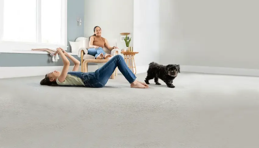 Clean fresh carpet after pet urine and odor removal with family relaxing and dog indoors