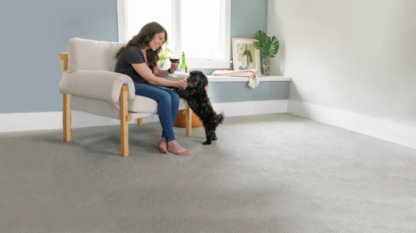 Homeowner relaxing with a dog on a clean carpeted floor in a bright living room, representing effective pet urine odour removal and professional carpet cleaning for a fresh home environment