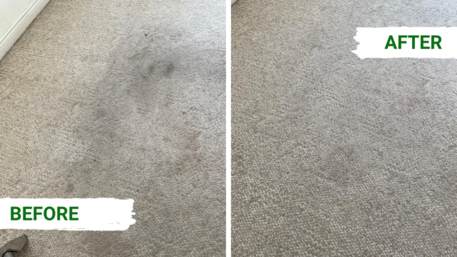 Before and after results showing why carpet cleaning is important for removing dirt and restoring carpet appearance.
