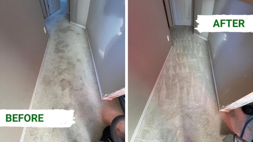 before and after eco 2 Before and after carpet cleaning showing a hallway carpet transformed from dirty to spotless by professional Chem-Dry service.