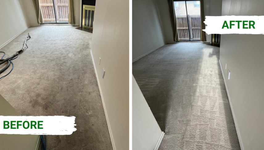 Mold can sometimes be removed from carpet with professional deep cleaning, moisture extraction, and complete drying, depending on the severity of the mold contamination.