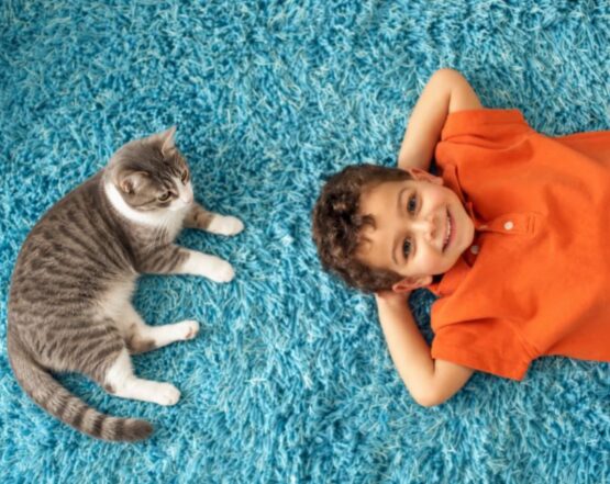 boy-and-cat-ecovalley-chemdy Child relaxing with a cat on a freshly cleaned blue carpet in a Calgary home.