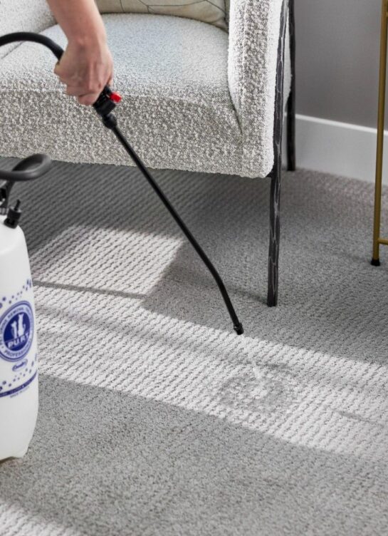 Technician applying eco-friendly carpet cleaning solution during professional carpet cleaning service in Calgary by Eco Valley Chem-Dry.