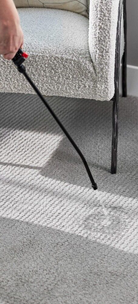 c3 Technician applying eco-friendly carpet cleaning solution during professional carpet cleaning service in Calgary by Eco Valley Chem-Dry.