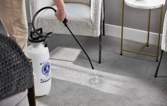 Professional treatment being applied to a carpet, showing why carpet cleaning is important for removing stains and contaminants.