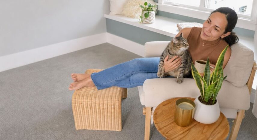 Cat sitting with a homeowner on a clean carpeted floor in a bright living room, representing pet-friendly home care and the challenge of removing cat urine odors from carpets.