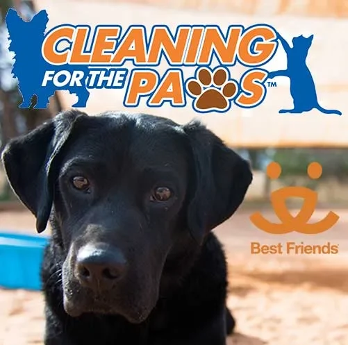 Dog with “Cleaning for the Paws” message highlighting pet-safe solutions for removing urine smell from clothes and laundry