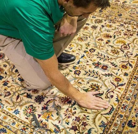 Professional technician inspecting an area rug for signs of mold, dust, allergens, and hidden contaminants before performing deep carpet and rug cleaning.