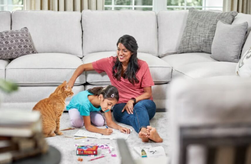Family spending time with a cat on a clean carpeted floor in a living room, showing the importance of maintaining a fresh home environment when dealing with pet urine odors