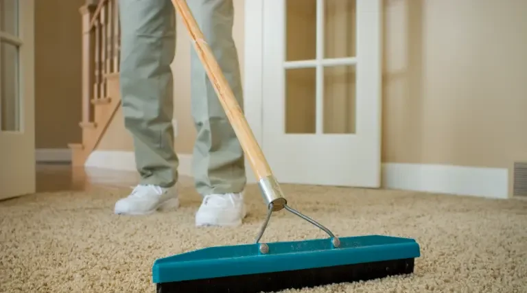 Carpet cleaning process to remove pet urine stains and eliminate dog urine odor from carpet fibers